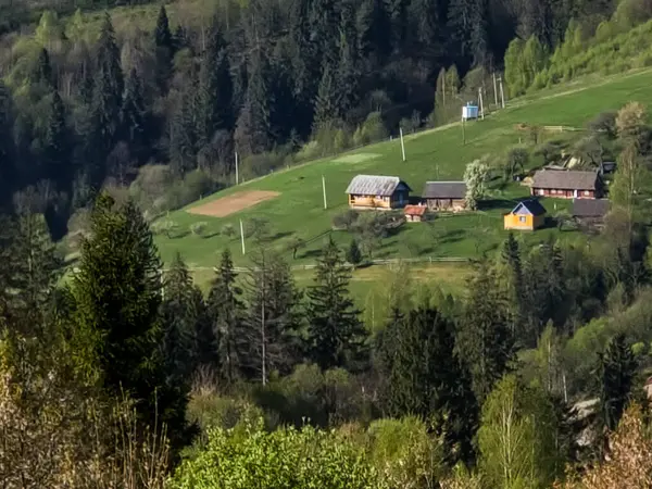 Yeşil ormanı ve sarı tepeleri olan küçük ahşap kulübe