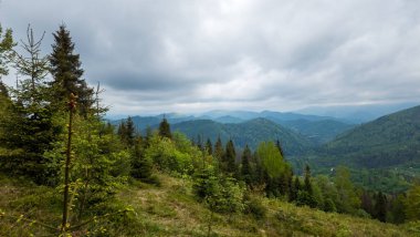 Karpat Dağları yaz mevsiminde bulutlu havada manzaraya sahiptir. Bulutlu havada yeşil orman ve tepeler, Ukrayna
