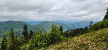 Güzel dağ manzarası, Karpatlar, Ukrayna.