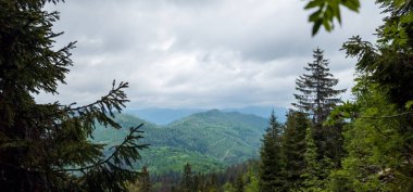 Karpat Dağları 'nın yaz günündeki güzel manzarası
