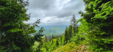 Dağların güzel manzarası