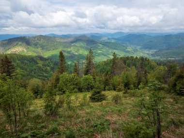 Karpatlar 'daki güzel dağ manzarası