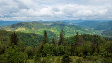 Bulutlu bir günde ormanın güzel manzarası.