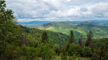 bulutlu bir gökyüzünde yeşil çimenler ve dağların olduğu yaz manzarası