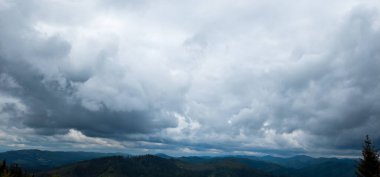 Ormanın üzerinde fırtına bulutları.
