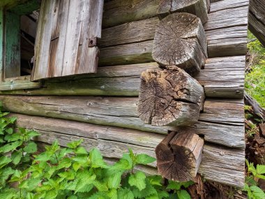 Ormandaki eski ahşap ev