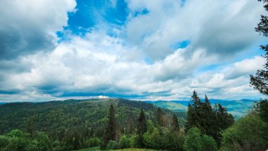 Karpat Dağları, yaz günü, yeşil orman, mavi gökyüzündeki bulutlar