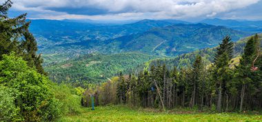 Karpat Dağları 'ndaki güzel yaz manzarası, Ukrayna