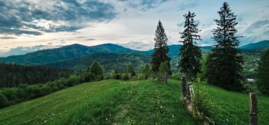 Dağlarda ağaçlarla çevrili yeşil bir tarlanın güzel bir görüntüsü.