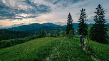 Karpatların yaz manzarası