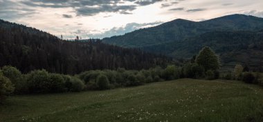 Dağları ve ormanı olan güzel bir manzara.