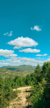Ormanın güzel manzarası