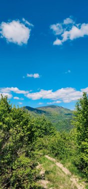 Güzel mavi gökyüzü olan dağ yolu.