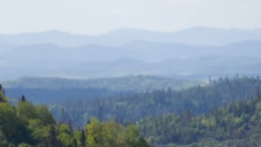 Ağaçlar ve ormanlarla dolu güzel bir manzara.