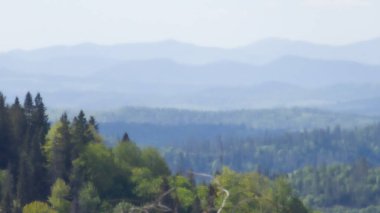 Yazın dağların manzarası