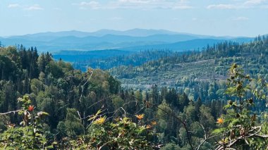 Sabahleyin dağların manzarası