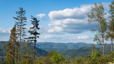 Karpat dağlarının güzel manzarası