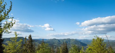 Yazın dağların manzarası Karpatlar, Ukrayna