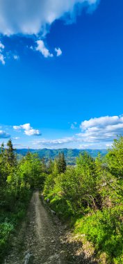 Bahar mevsiminde Karpat Dağlarının güzel manzarası