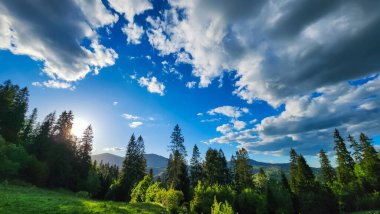 Güzel manzara. Gün batımının güzel olduğu bir dağ sırası. Karpat Dağları