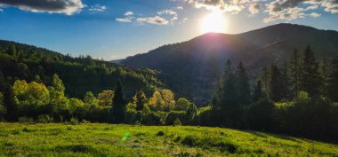 Yeşil çimenli güzel dağ manzarası