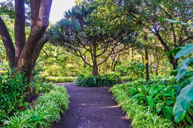 Güzel botanik fotoğrafı, doğal duvar kağıdı.