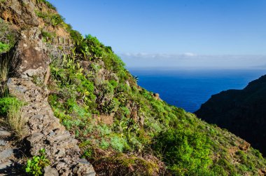 Dağların güzel manzarası