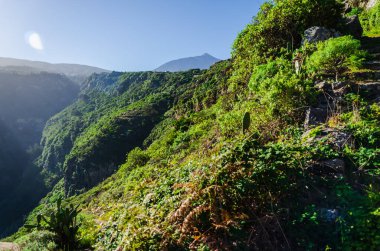 Mavi gökyüzü ile yeşil dağ ormanlarının güzel manzarası