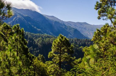 Dağları ve mavi gökyüzü olan güzel bir manzara.