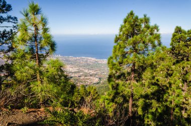 Tenerife adasındaki dağın tepesinden manzara, İspanya,