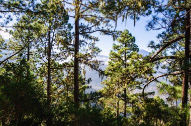 signo de broadway rojo