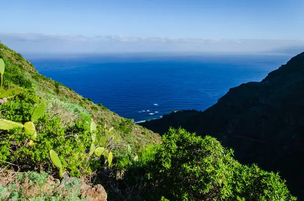 Madeira adasının manzarası