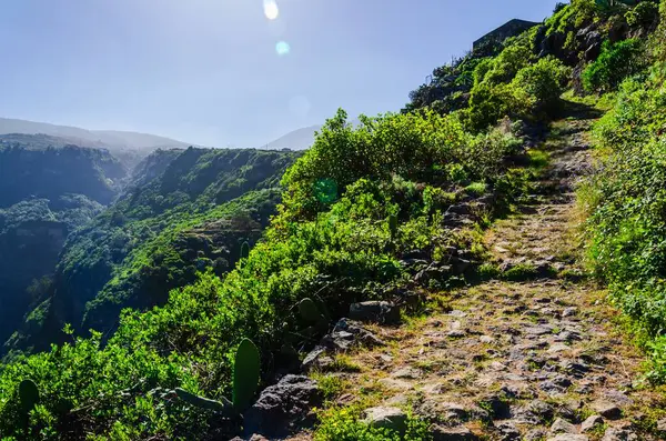 Madeira 'daki güzel dağ manzarası