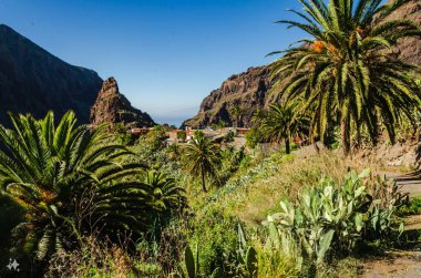 Tenerife, İspanya - 18 Şubat, 2019: 00 Santa Cruz de Tenerife 'den