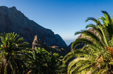 Dağlarla güzel bir manzara.