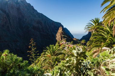 Arkaplanda dağların güzel manzarası