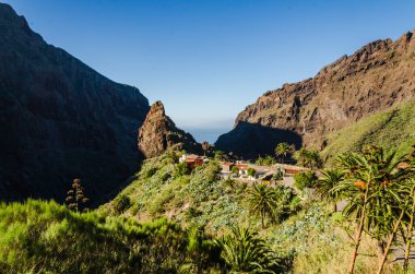 Kanarya adasında yeşil dağları ve ağaçları olan bir manzara..