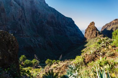 Tenerife, İspanya 'da mavi gökyüzü olan yeşil bir dağ vadisinde manzara.