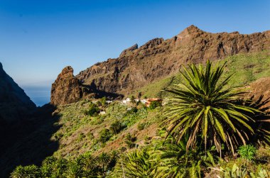 Büyük Kanarya Adası İspanya 'daki La Gomel Dağı manzarası