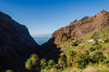 La Palma kıyısındaki manzara, İspanya