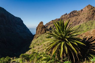 Dağlardaki dağ manzarası, Madeira Adası, Portekiz