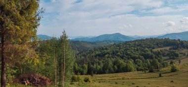 Karpatlarda Yaz manzarası