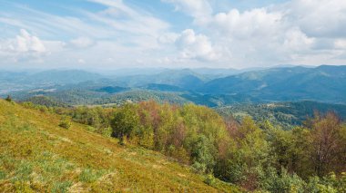 Güneşli yaz gününde Karpat dağlarının güzel dağ manzarası