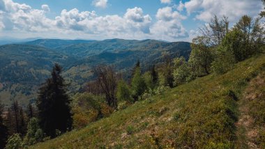 Ukraynalı Karpatların bulutlu bir günde yaz manzarası. İHA 'dan hava görüntüsü.