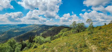Karpat Dağlarının güzel manzarası, Ukrayna