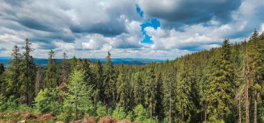 Dağlarla, ormanlarla dolu güzel bir manzara.