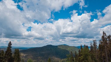 Güzel yaz dağı manzarası