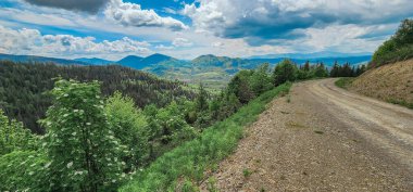Yazın dağların arasında yol.