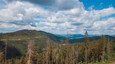 Dağlarda bir ağacı olan güzel bir manzara.