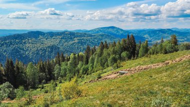 Karpatlar 'daki manzara çok güzel. ukraine